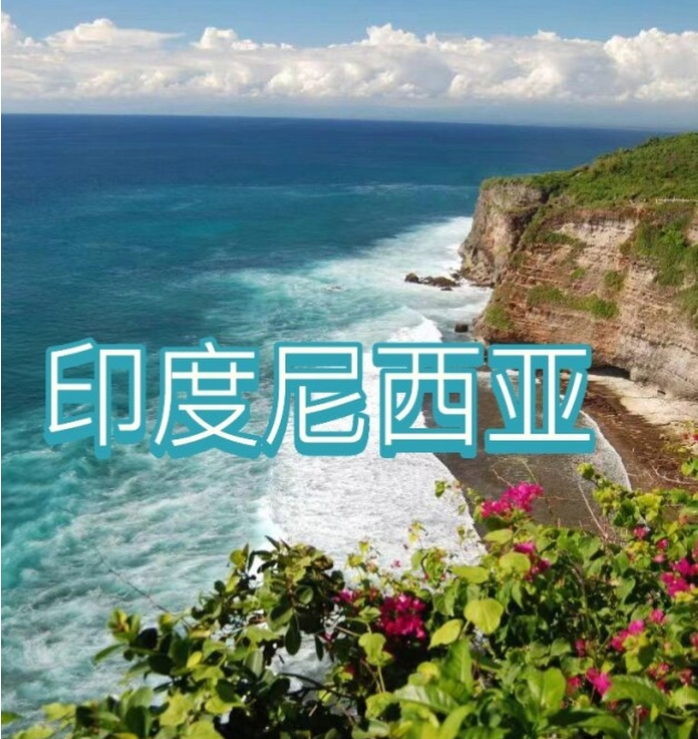 国国际电商(印尼)产业博览会不朽情缘游戏网站2025中(图2)